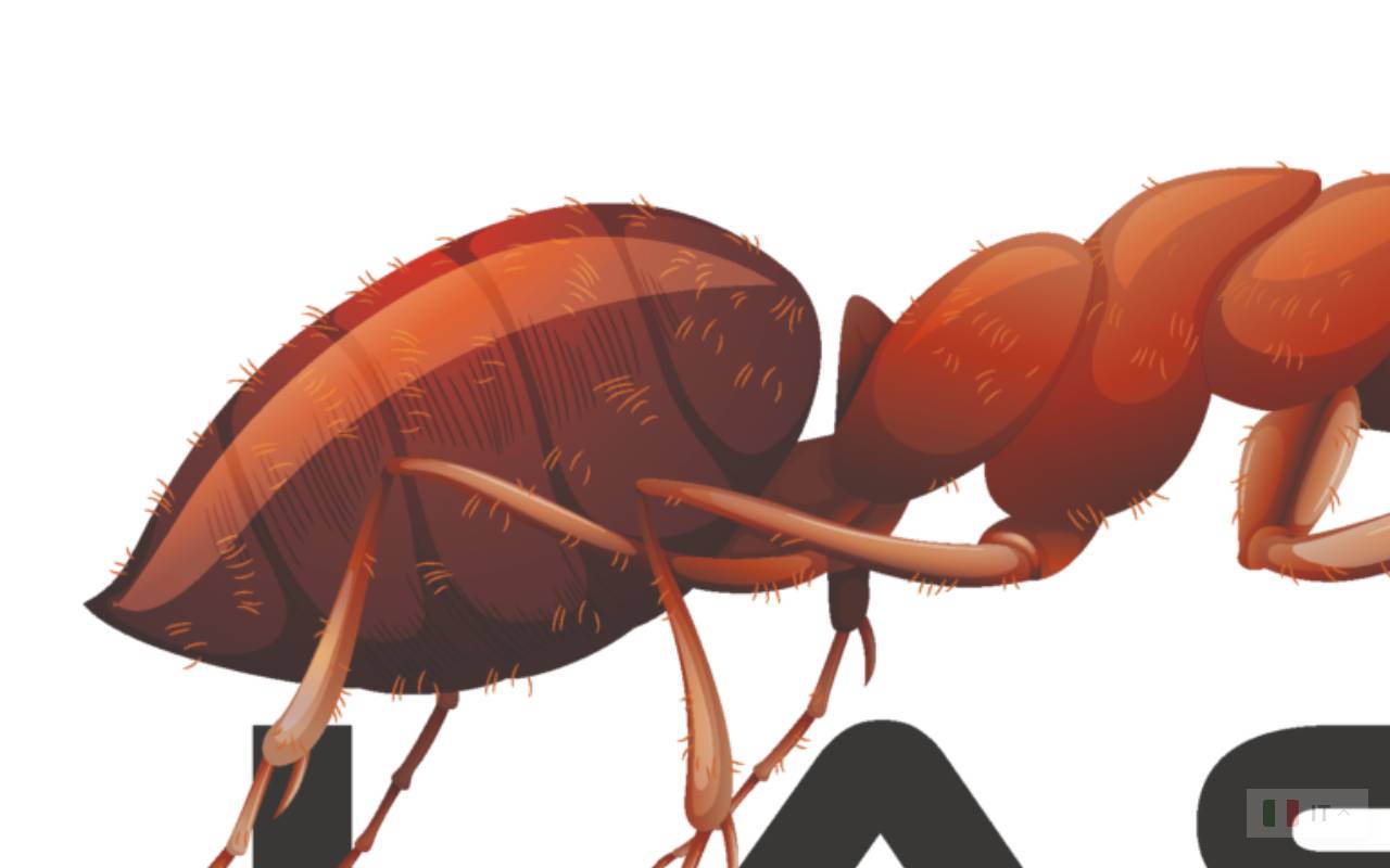 Anteprima del sito: Lasius Disinfestazioni Sagl