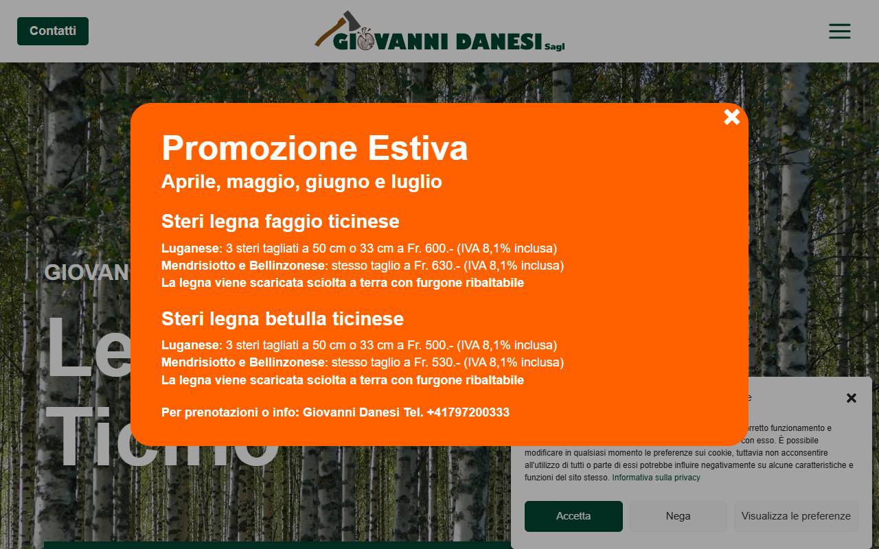 Anteprima del sito: Giovanni Danesi Sagl