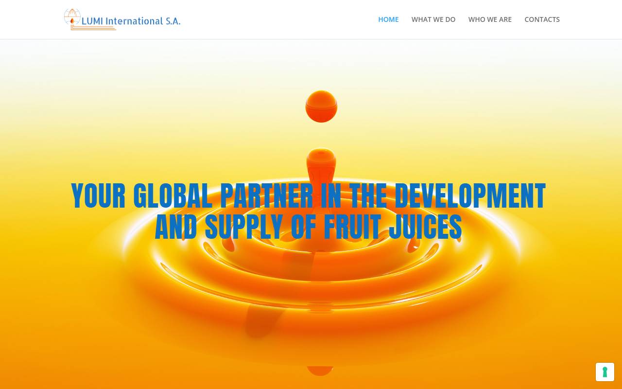 Anteprima del sito: LuMi International SA