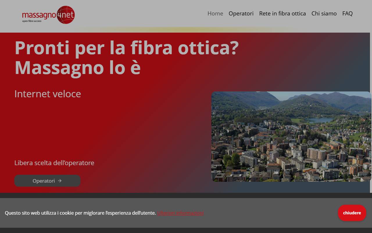 Anteprima del sito: Massagno4net SA