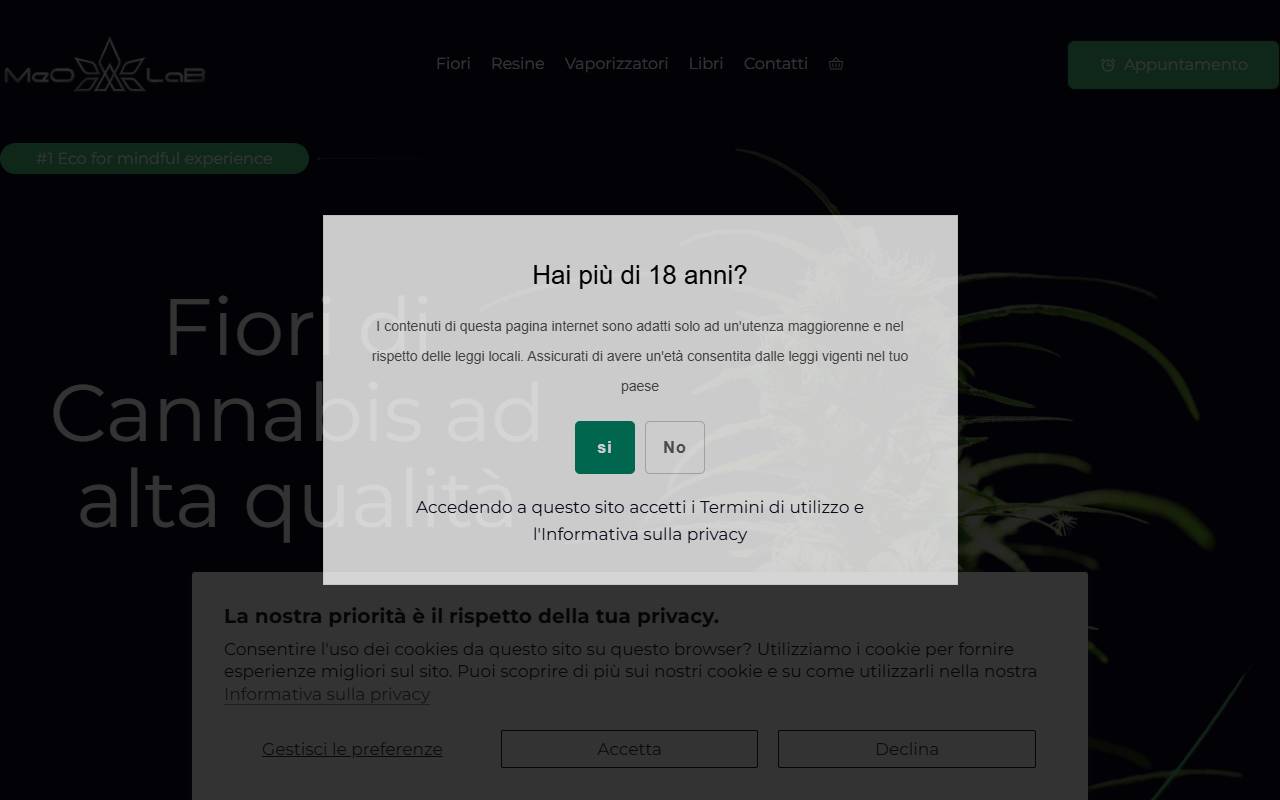 Anteprima del sito: MeO-LaB GmbH