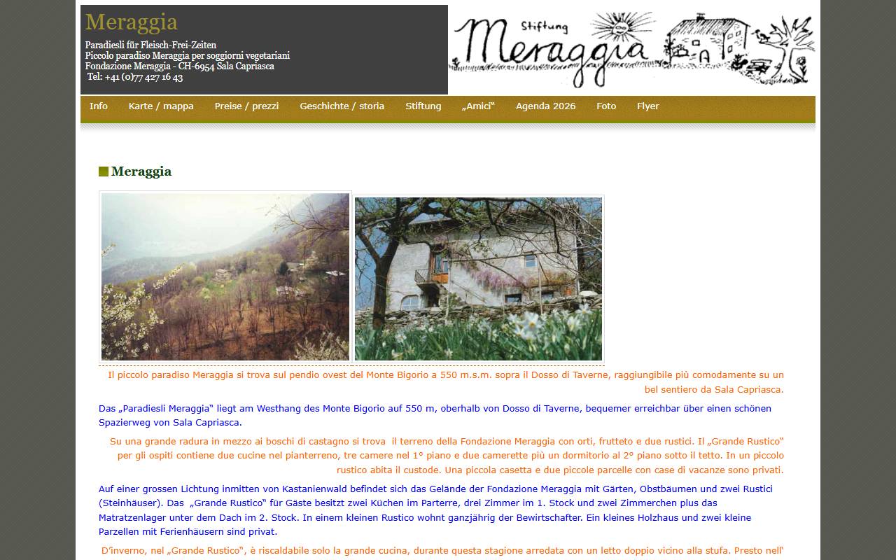 Anteprima del sito: Fondazione Meraggia