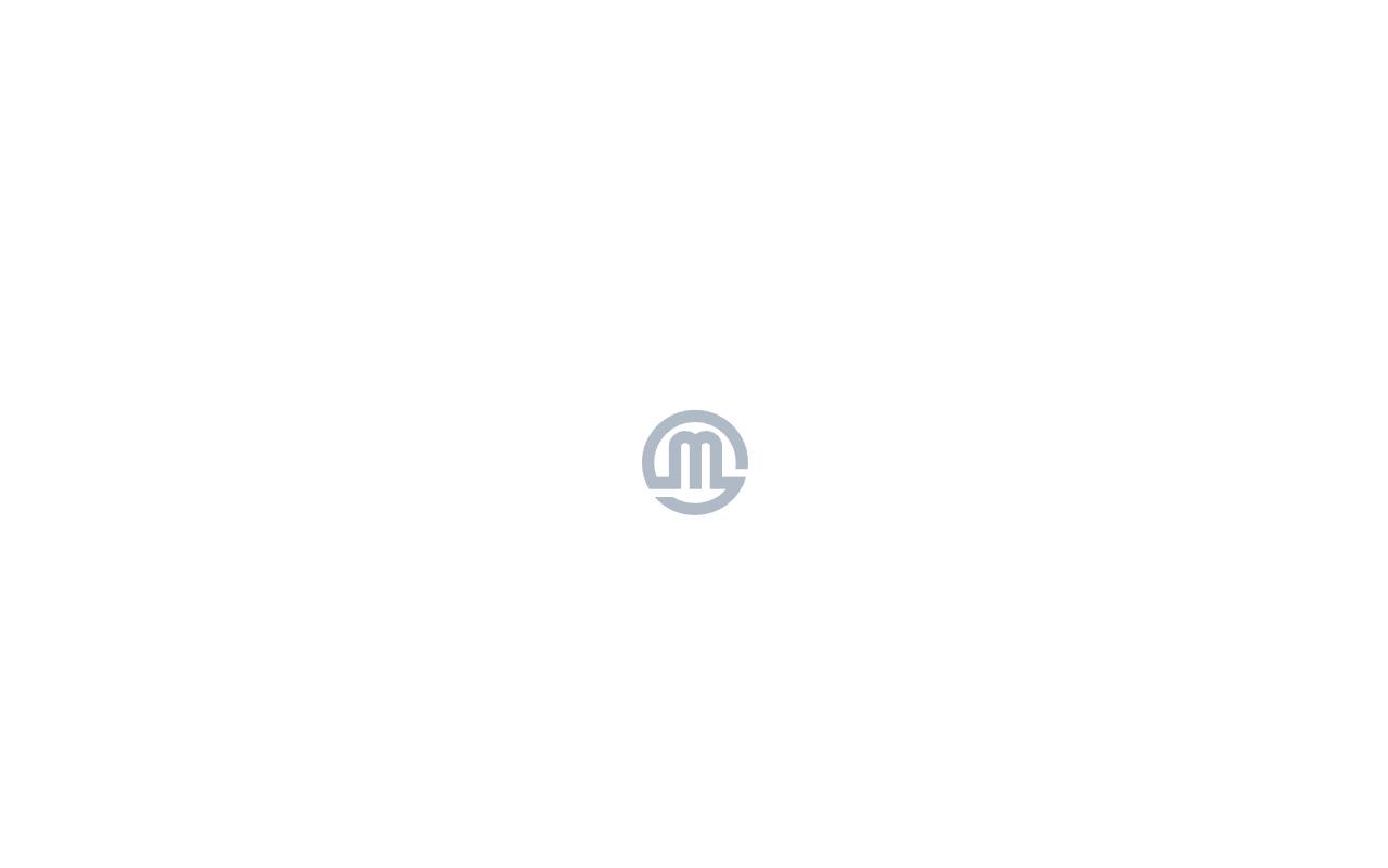 Anteprima del sito: Metallux AG