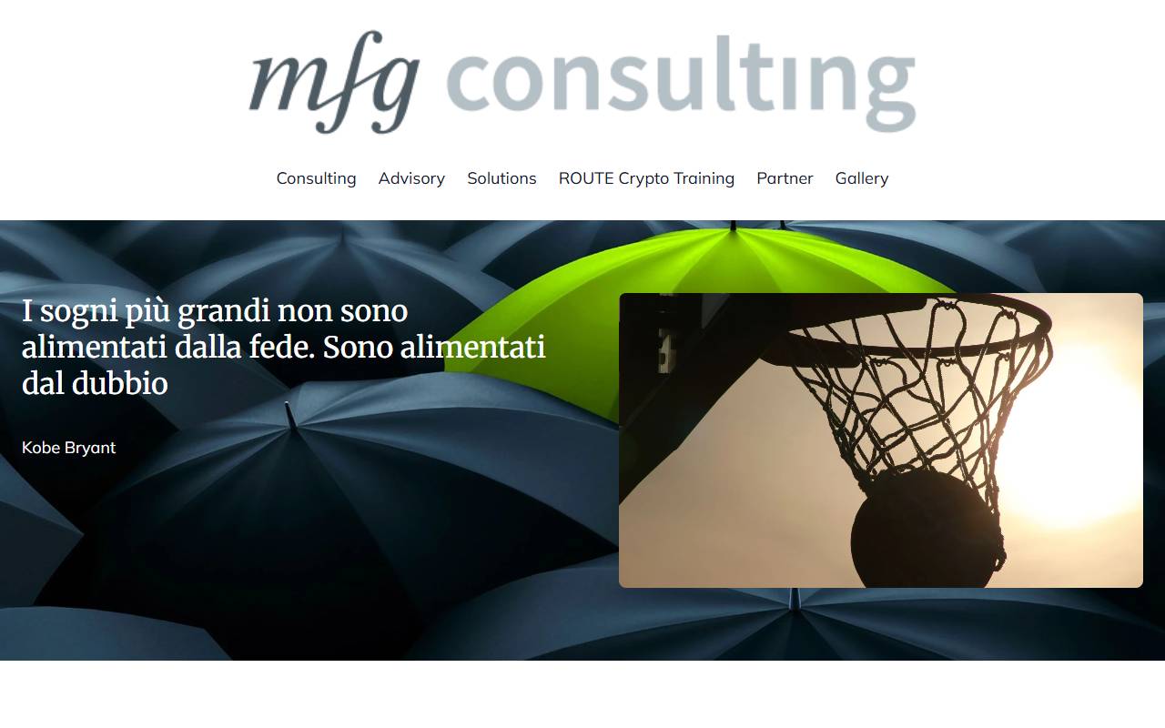Anteprima del sito: MFG Consulting SA