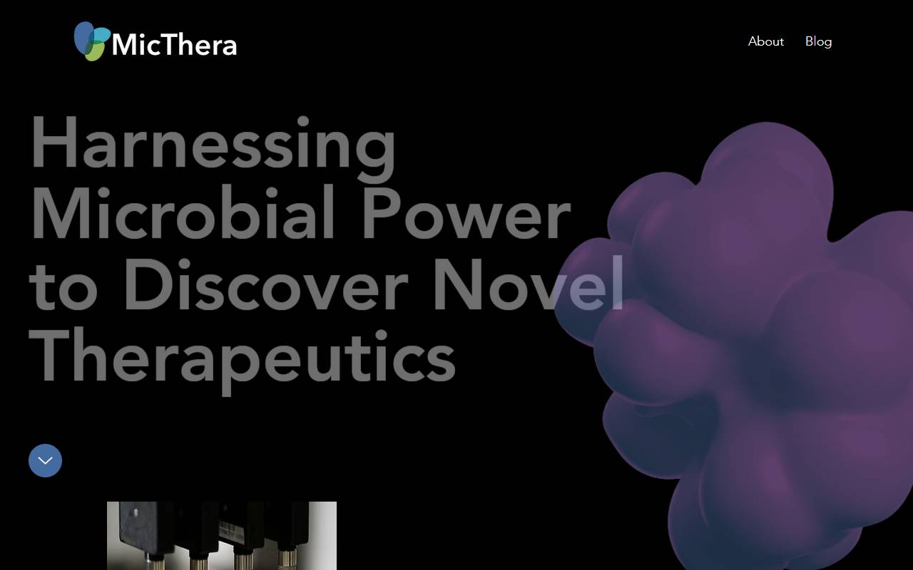 Anteprima del sito: MicThera Sagl