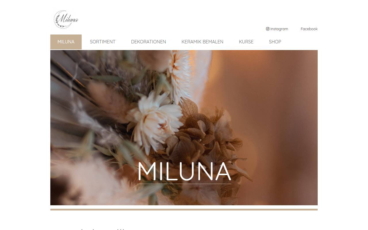 Anteprima del sito: Miluna SA