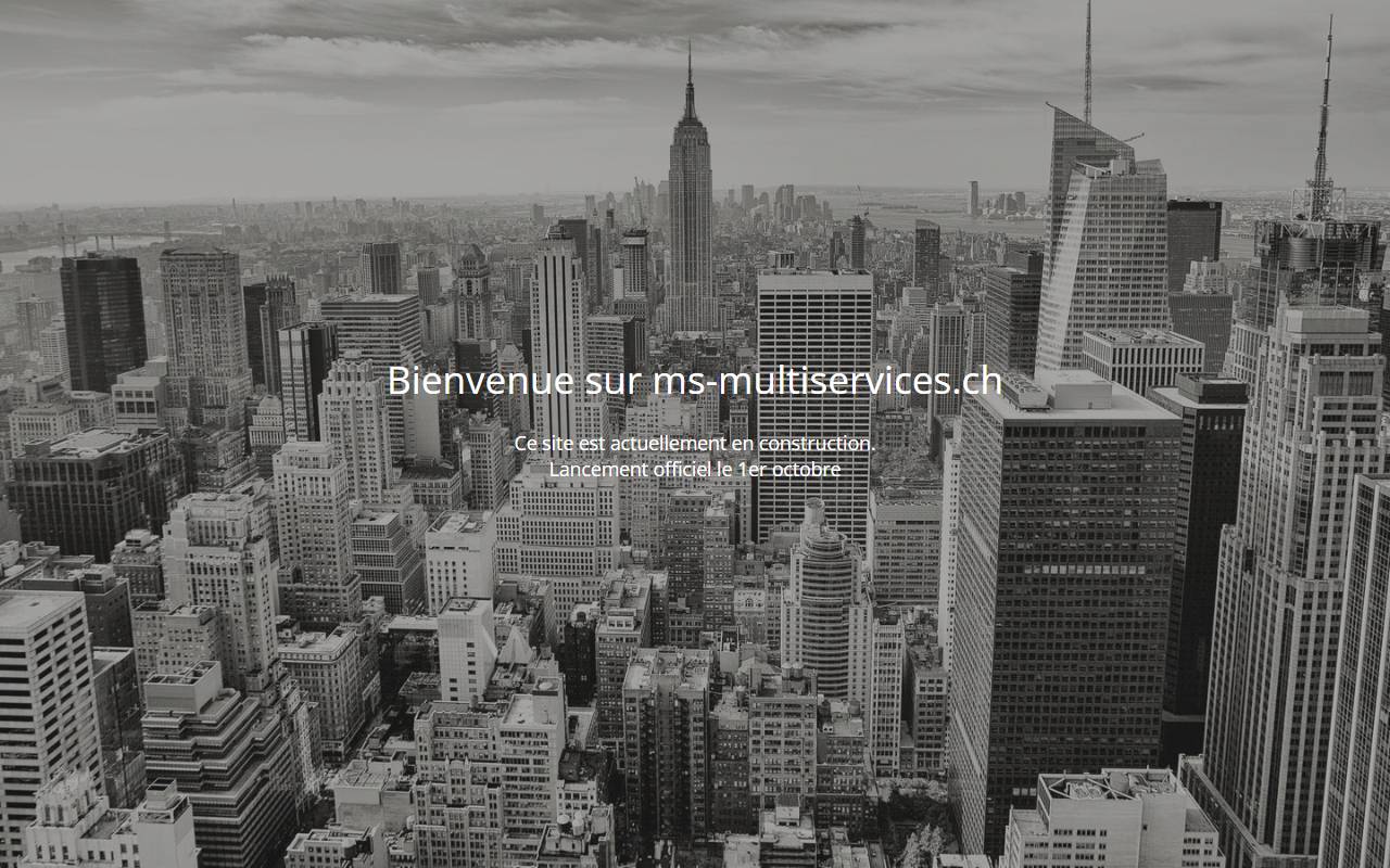 Anteprima del sito: MS Multiservices SA