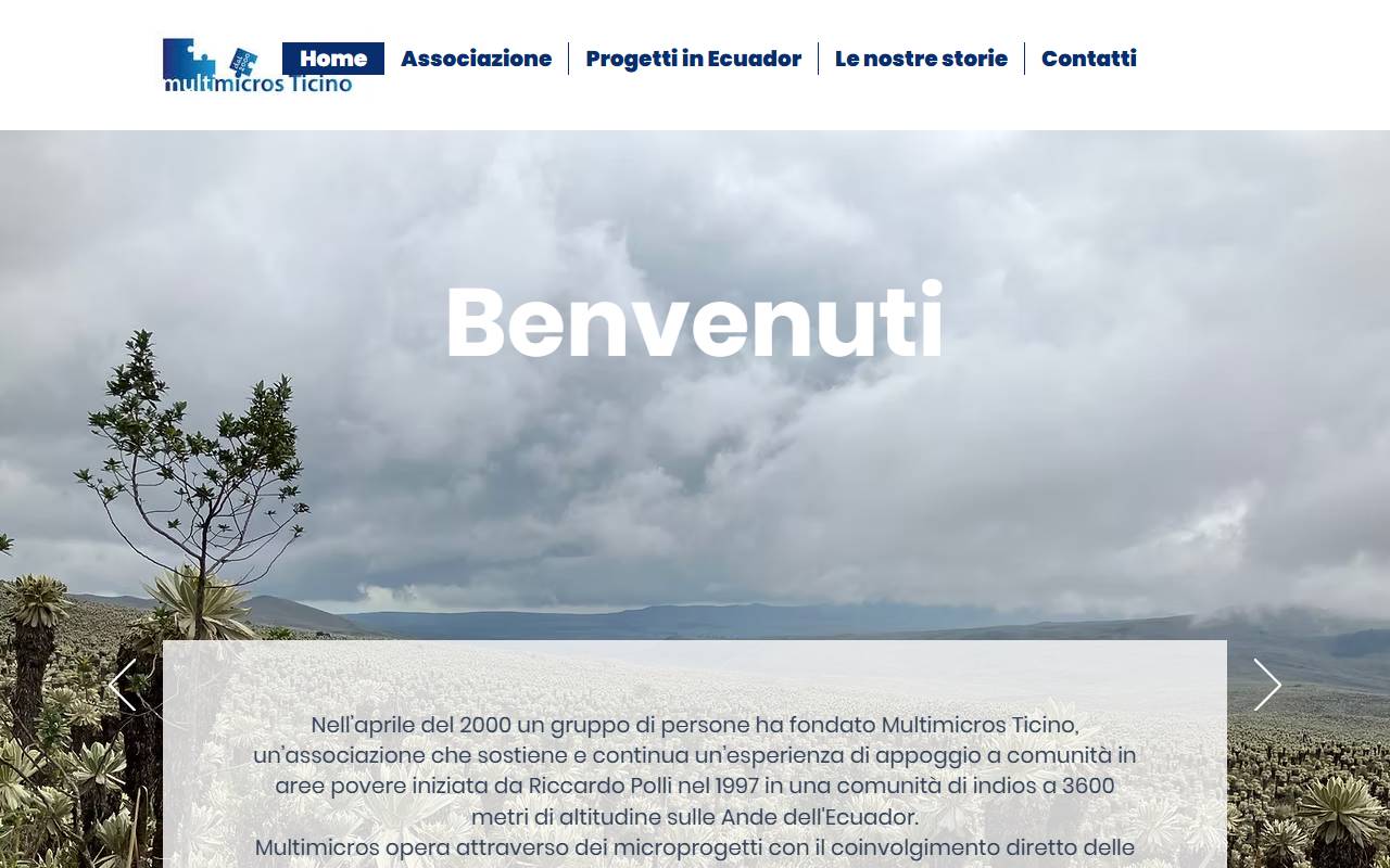 Anteprima del sito: Multimicros Ticino