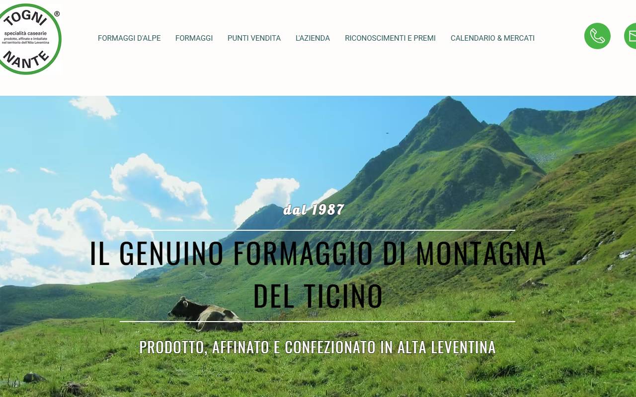 Anteprima del sito: TOGNI NANTE