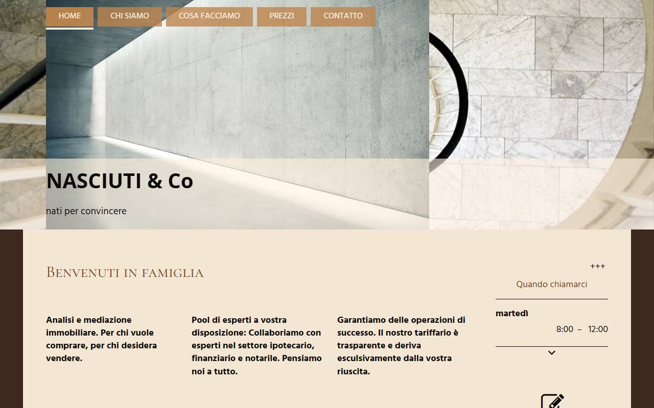 Anteprima del sito: Nasciuti & Co Sagl