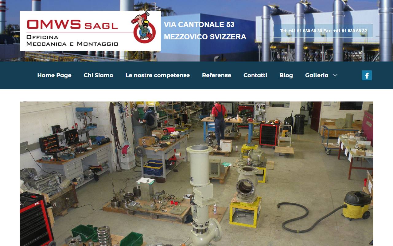 Anteprima del sito: OMWS SAGL