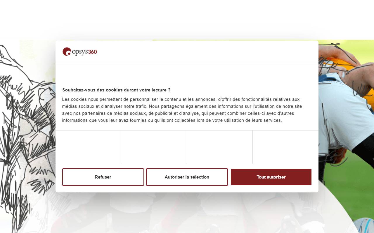 Anteprima del sito: OPSYS360 SA
