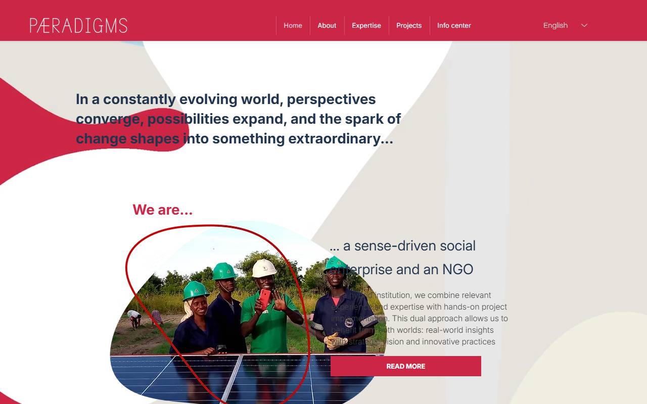 Anteprima del sito: Paeradigms Sagl