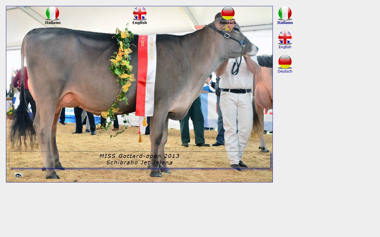 Anteprima del sito: Top Ticino di Pedrini Nicola