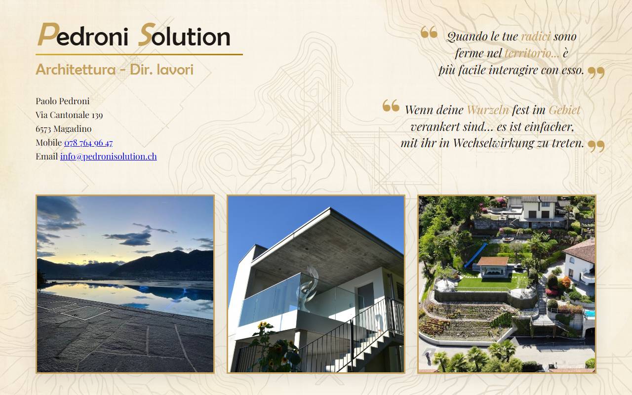 Anteprima del sito: Pedroni Solution
