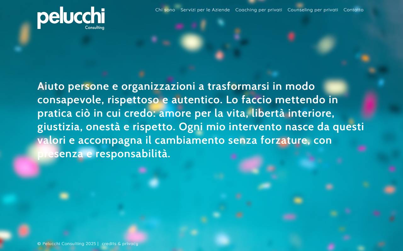 Anteprima del sito: Pelucchi Consulting