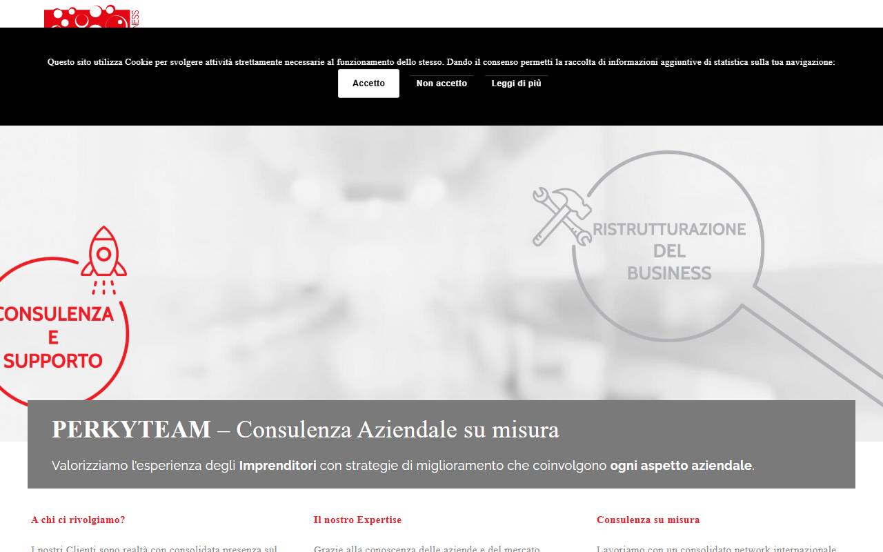 Anteprima del sito: PERKYTEAM SAGL
