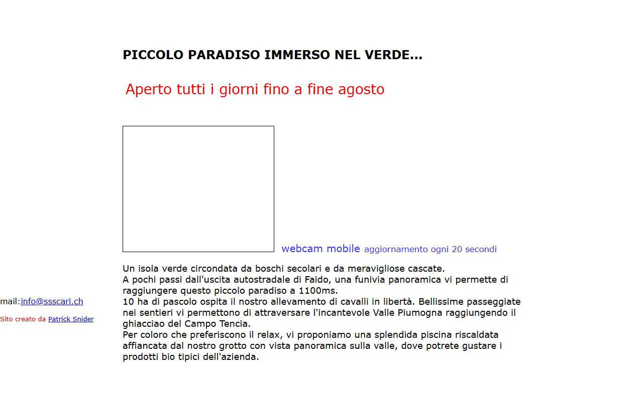 Anteprima del sito: Piana Selva Sagl