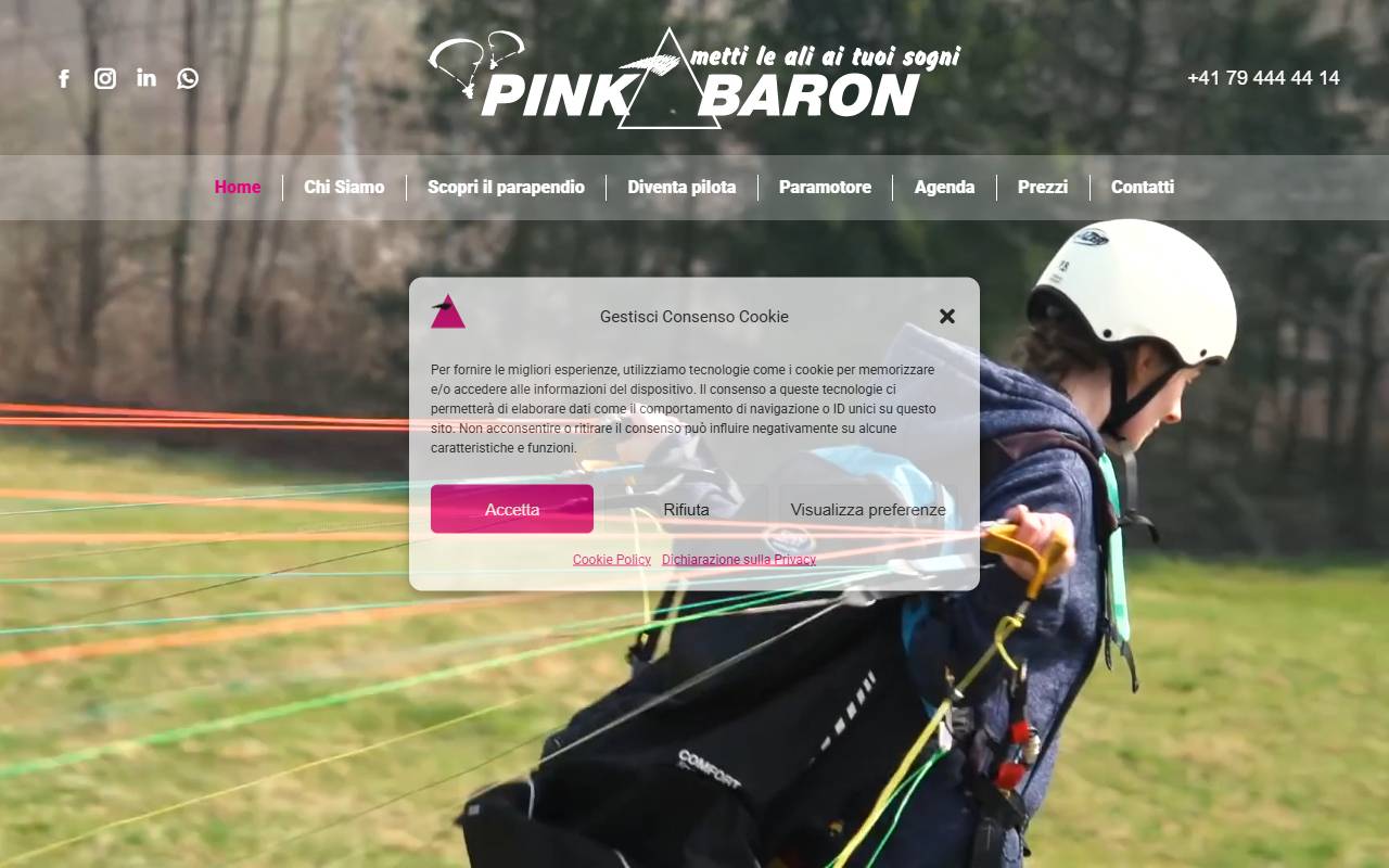 Anteprima del sito: Pink Baron SA