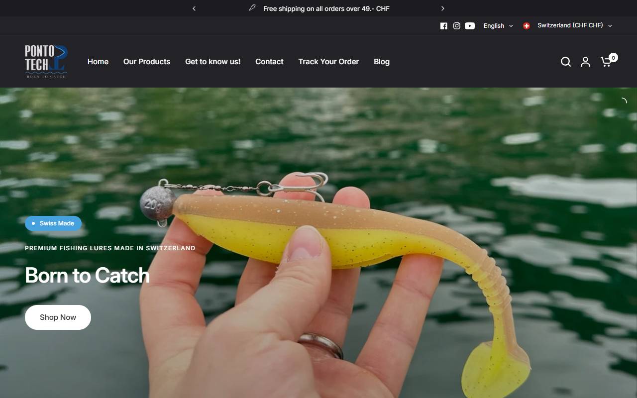 Anteprima del sito: Pontotech Sagl