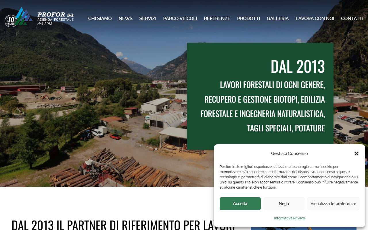 Anteprima del sito: Profor SA