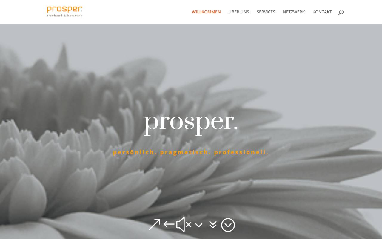 Anteprima del sito: Prosper Group Sagl