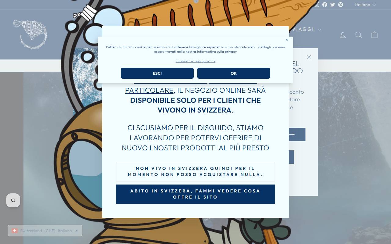 Anteprima del sito: Puffer Sagl