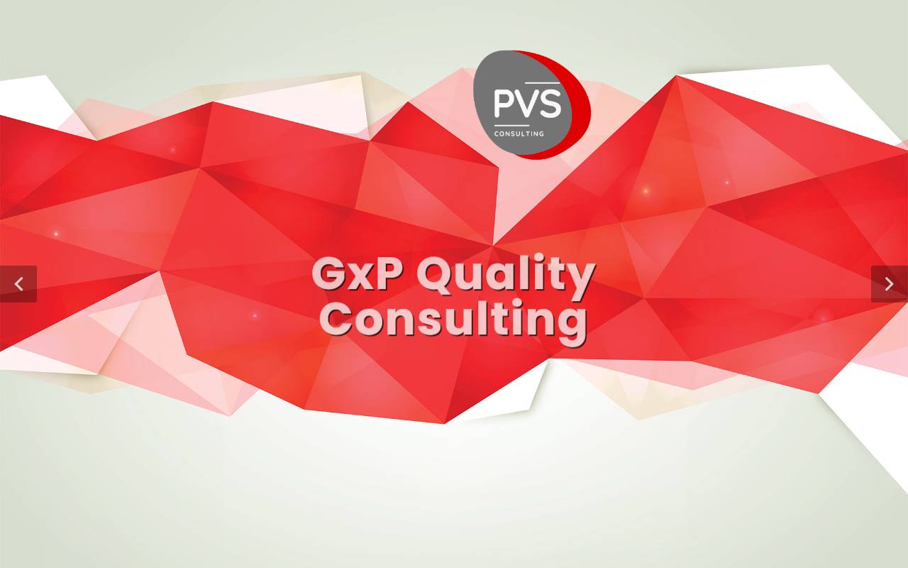 Anteprima del sito: PVS CONSULTING SAGL