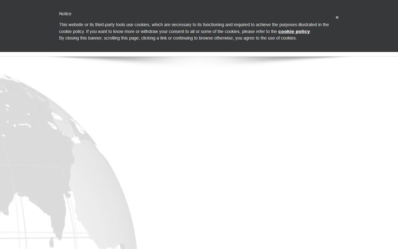 Anteprima del sito: Realeleven Holdings SA