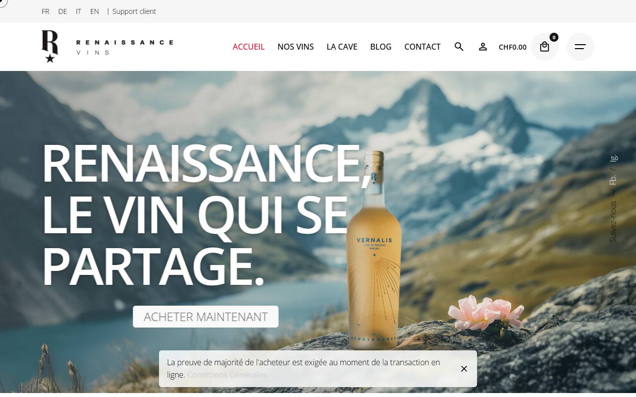 Anteprima del sito: RENAISSANCE MOMENTUM TECH SAGL