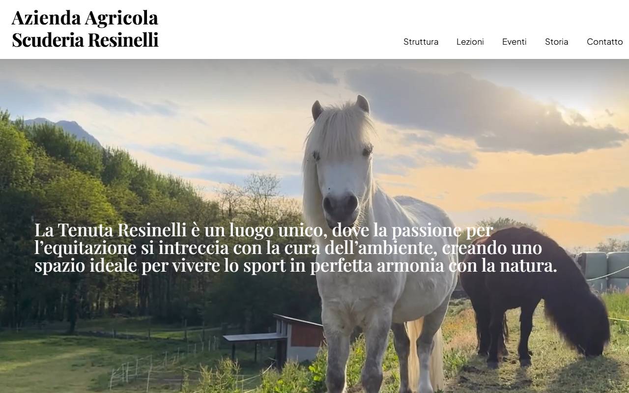 Anteprima del sito: Resicavalli Sagl