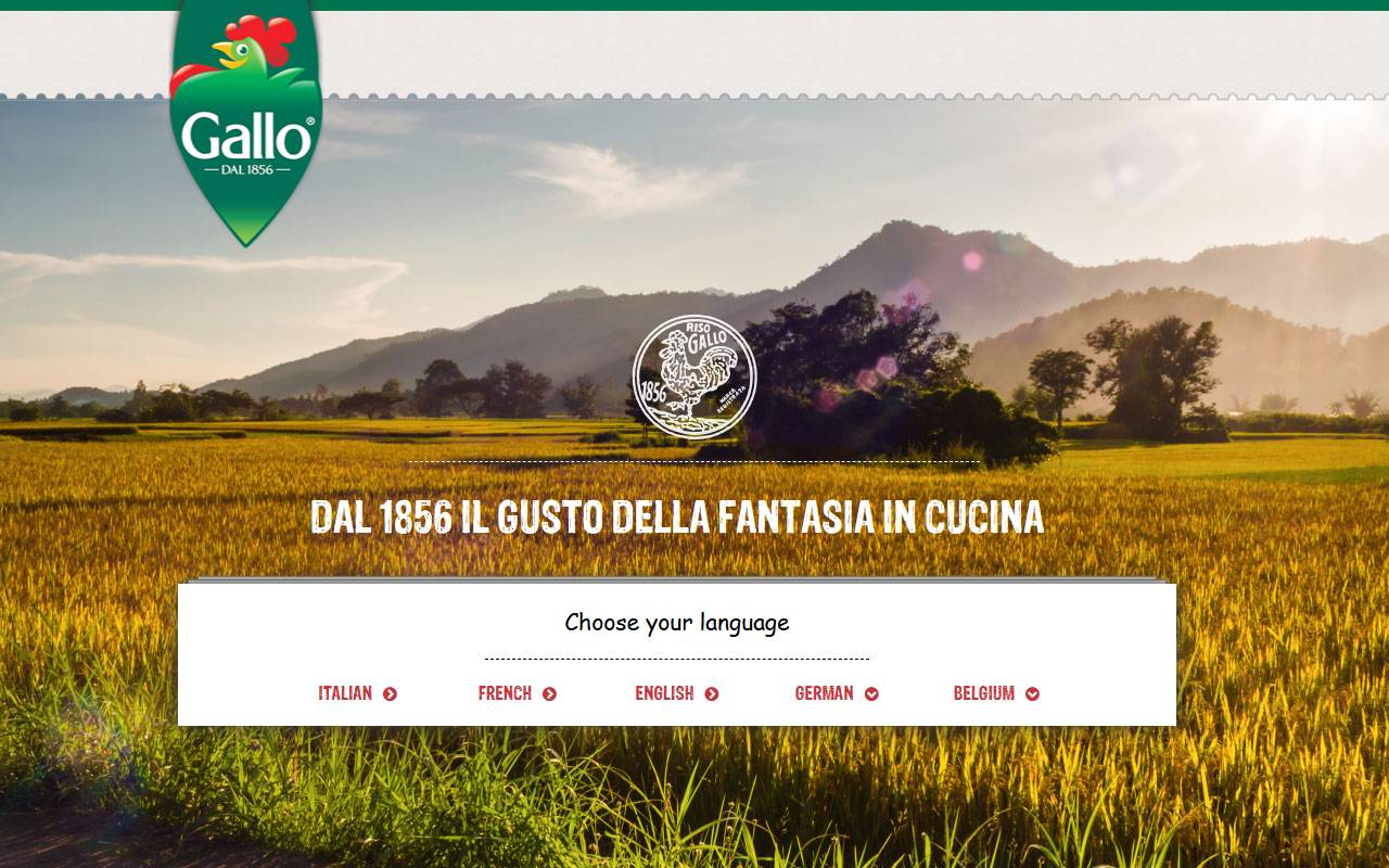 Anteprima del sito: Riso Gallo International SA