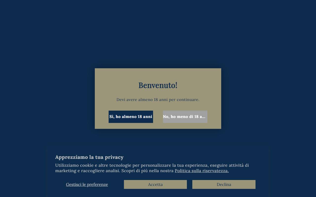 Anteprima del sito: Ronchi Biaggi Sagl
