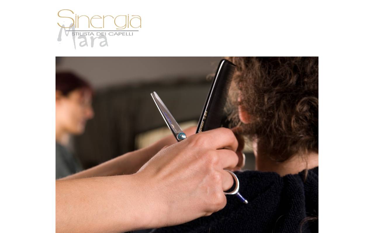 Anteprima del sito: Salone Sinergia Sagl