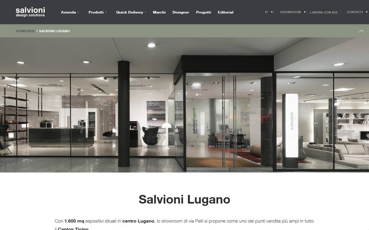 Anteprima del sito: SALVIONI LUGANO SA
