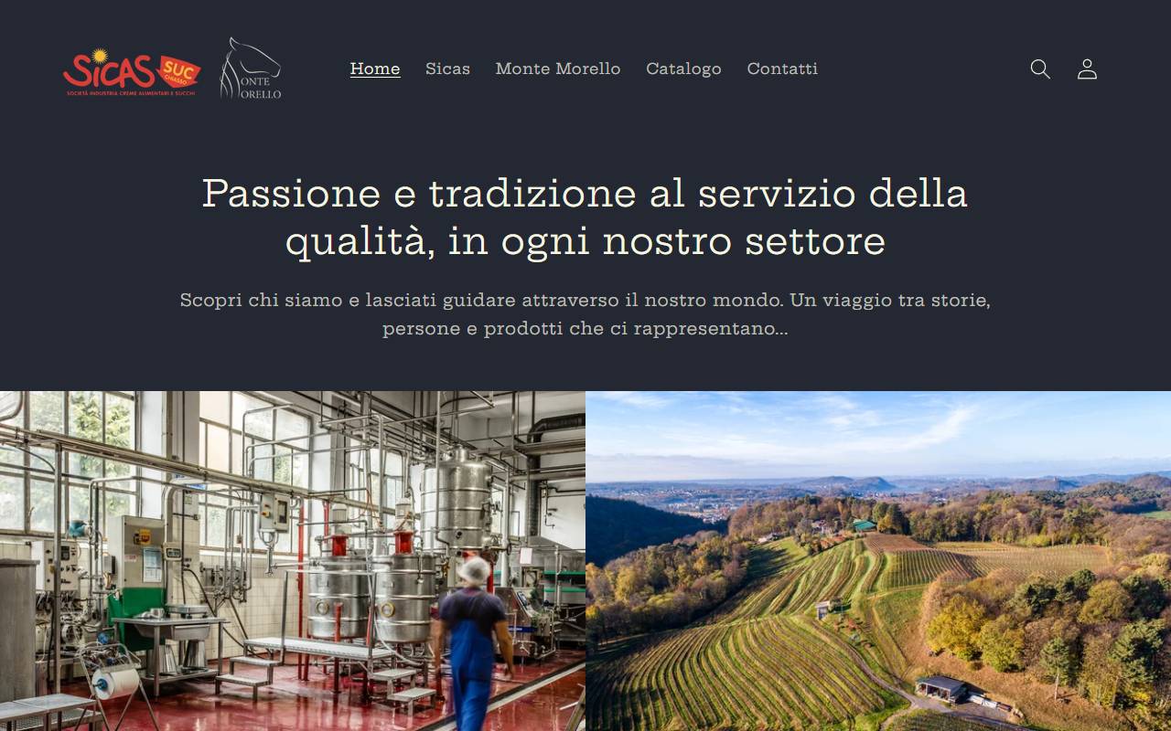 Anteprima del sito: Sicas SA