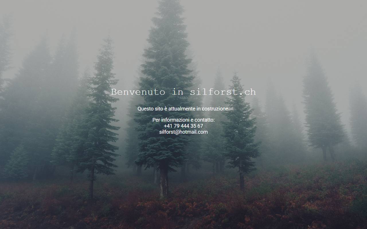 Anteprima del sito: Silforst di Vedova Silvano