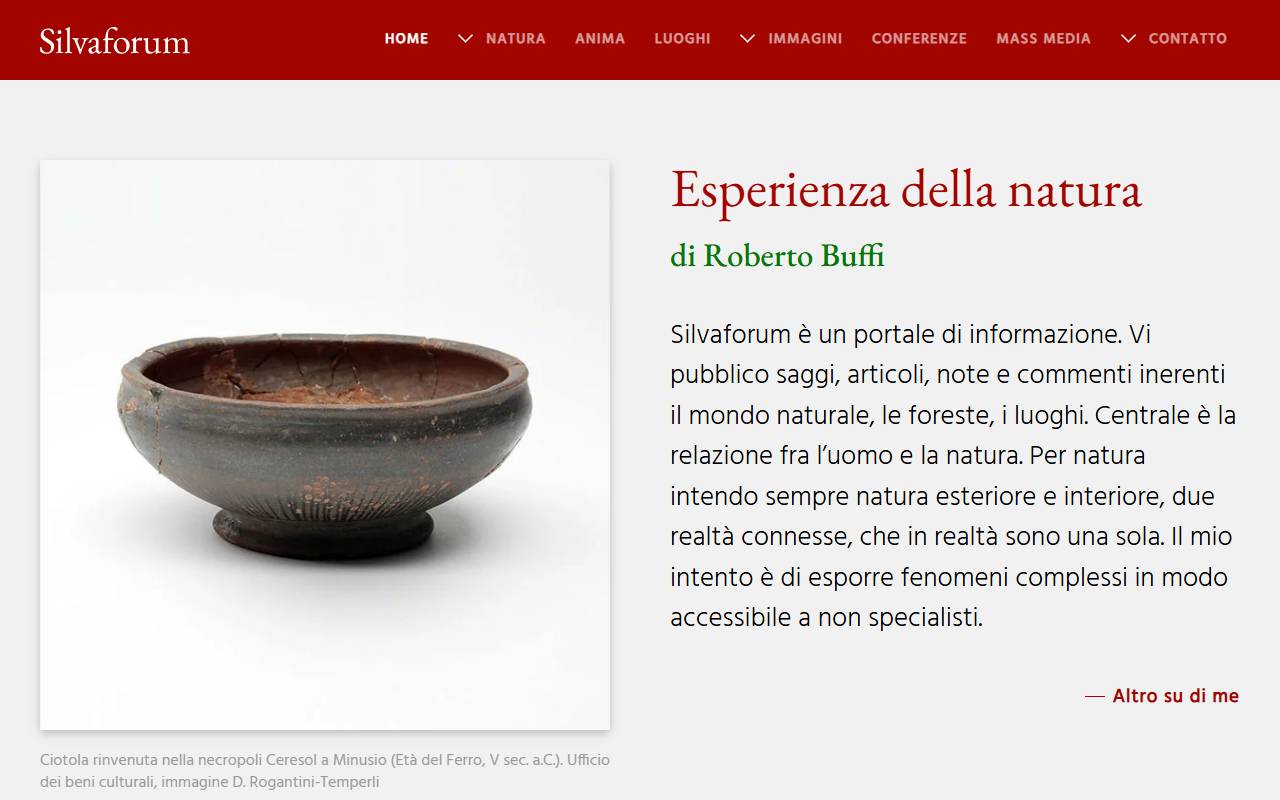 Anteprima del sito: Roberto Buffi Silvaforum