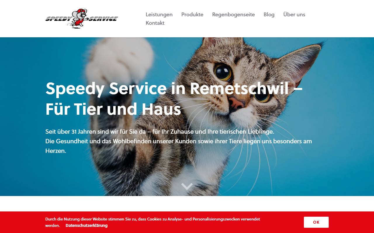 Anteprima del sito: Speedy Service Sagl