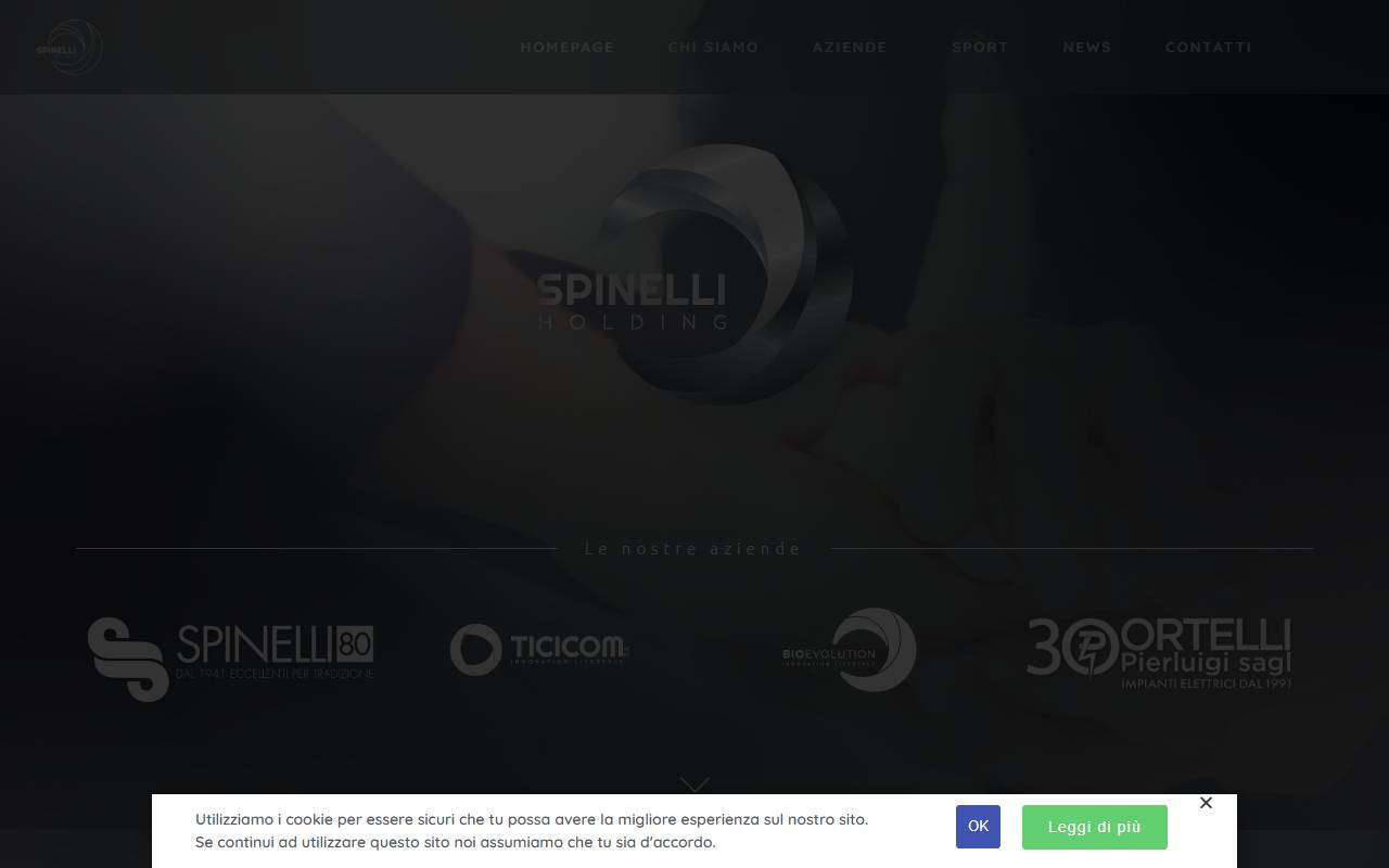 Anteprima del sito: Spinelli Holding SA