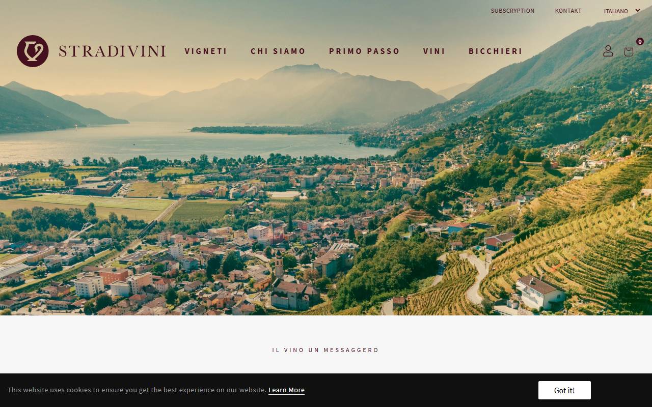 Anteprima del sito: Stradivini Sagl