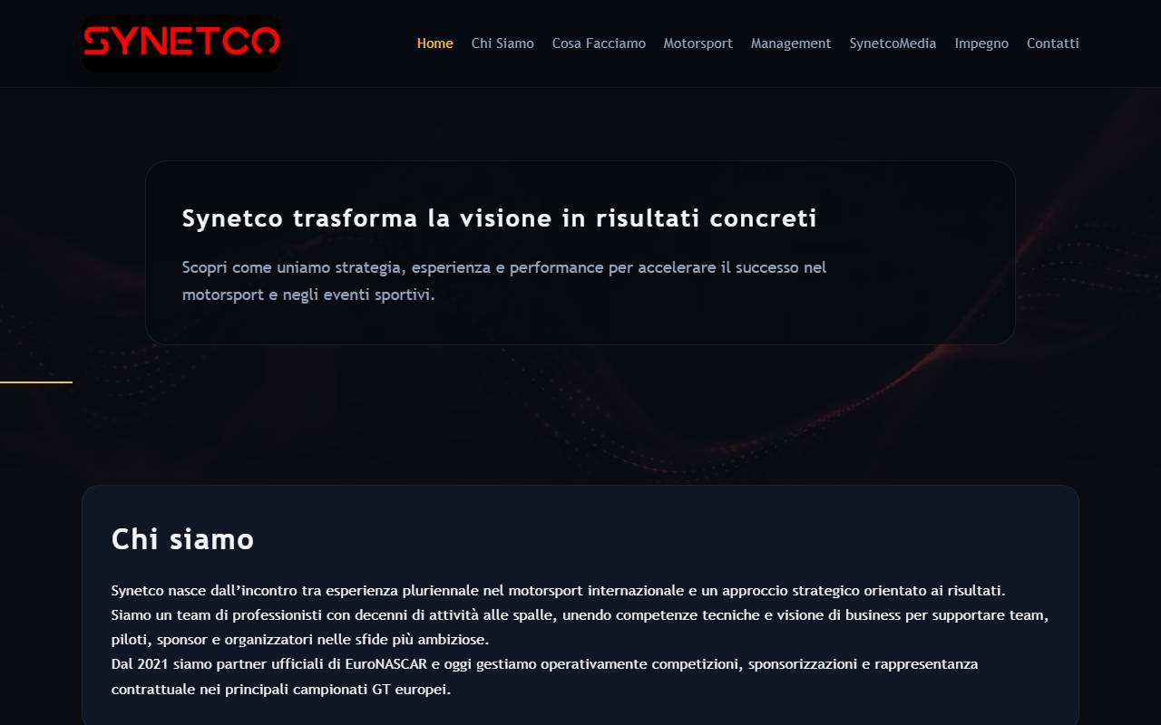 Anteprima del sito: Synetco Sagl
