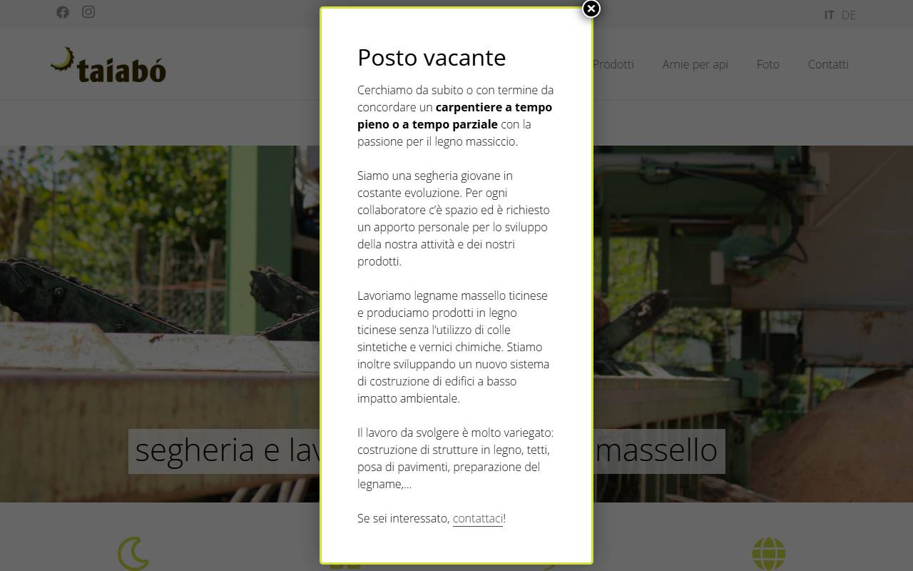 Anteprima del sito: Taiabó Sagl