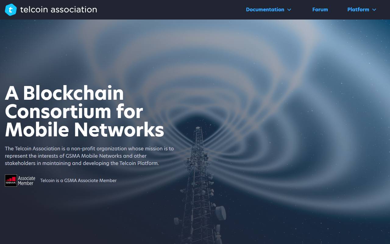 Anteprima del sito: Telcoin Associazione