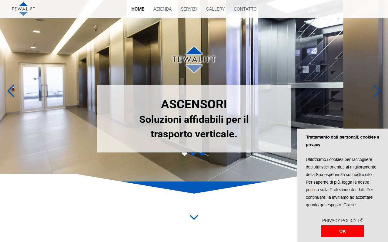 Anteprima del sito: TEWALIFT SA