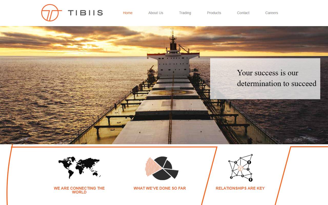 Anteprima del sito: Tibiis AG