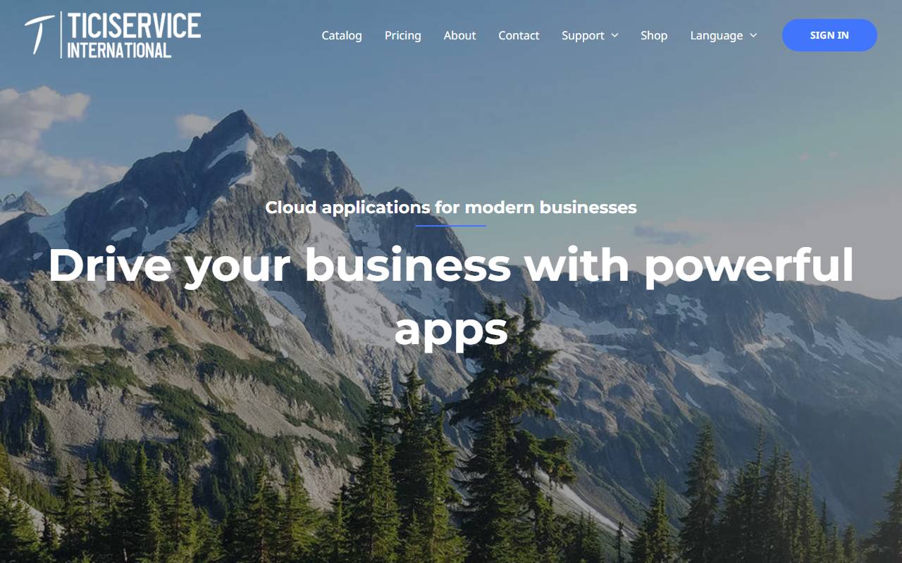 Anteprima del sito: Ticiservice International Sagl