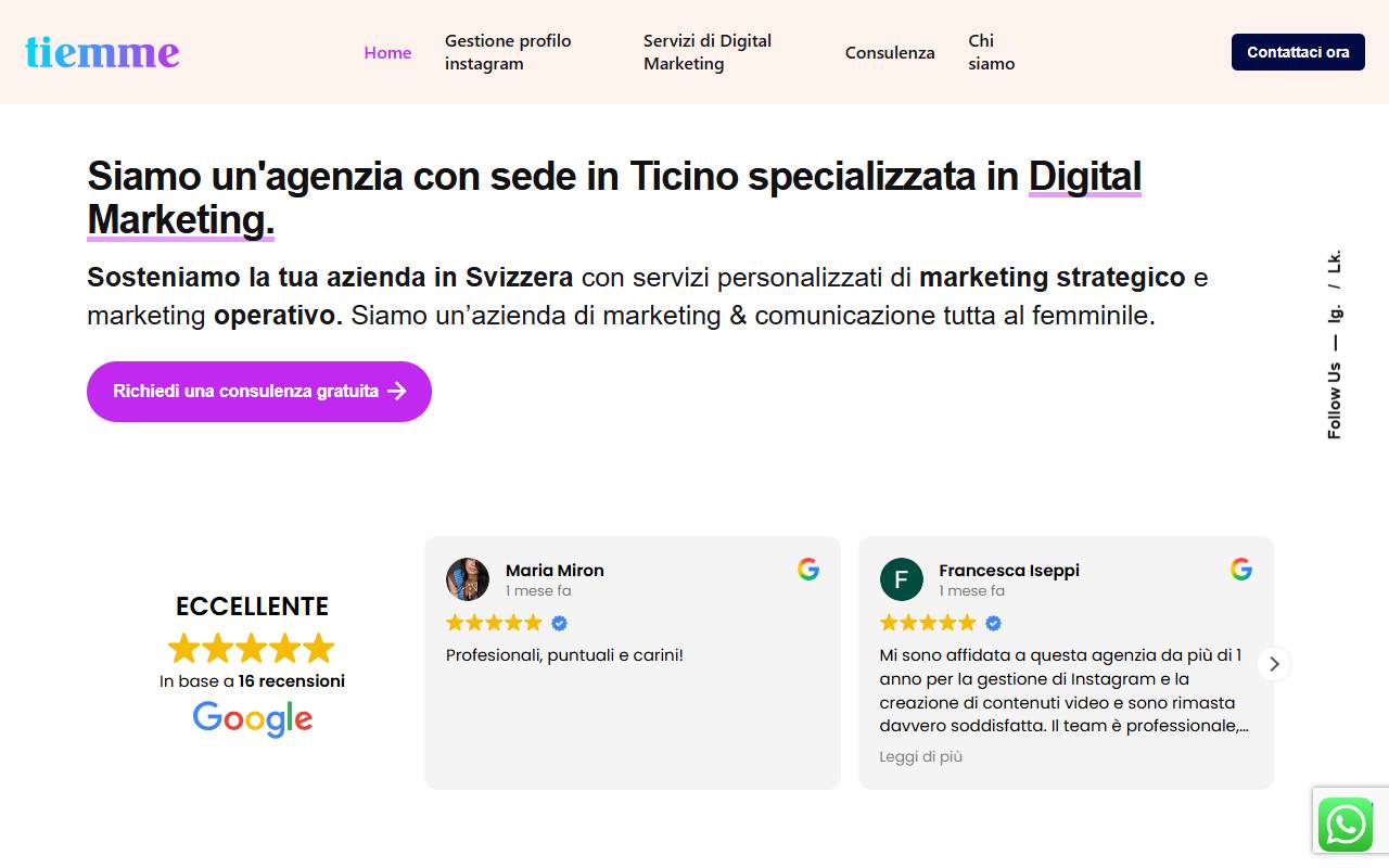 Anteprima del sito: Tiemme Consulting Sagl
