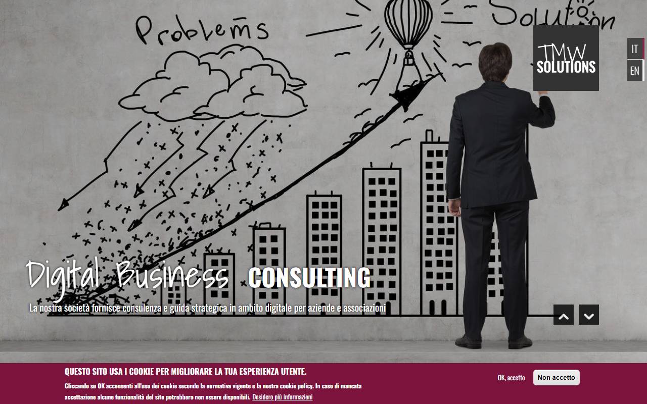 Anteprima del sito: TMW Solutions SA