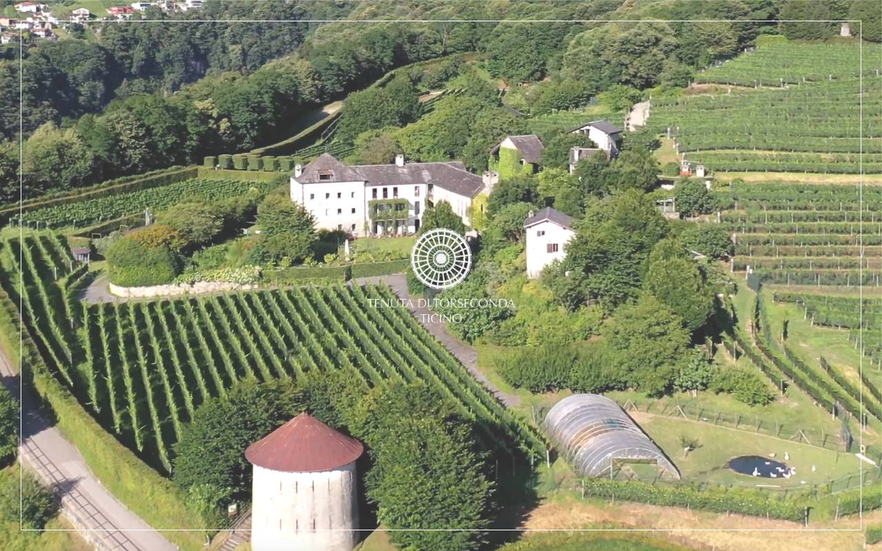 Anteprima del sito: Tenuta di Torseconda SA